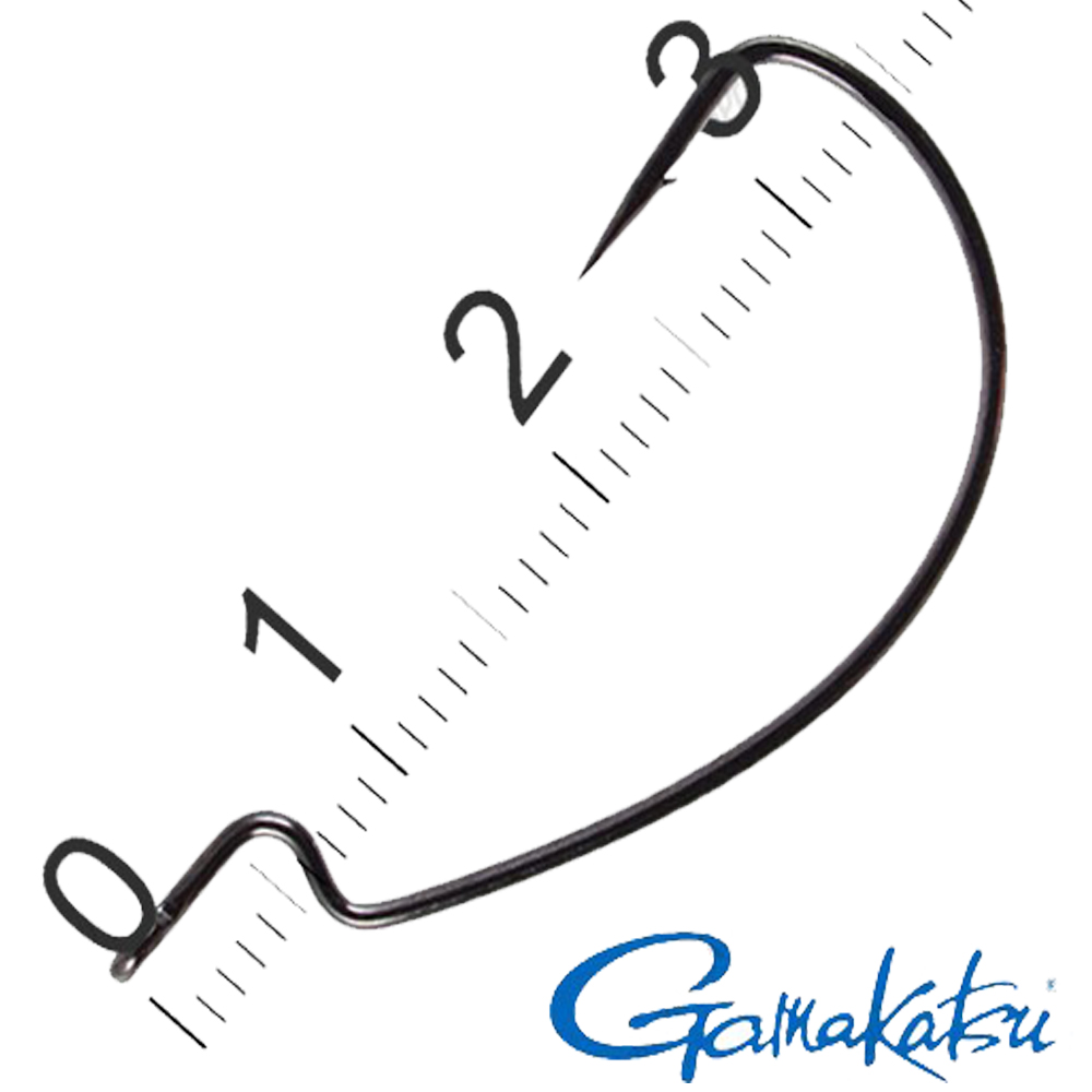 1g